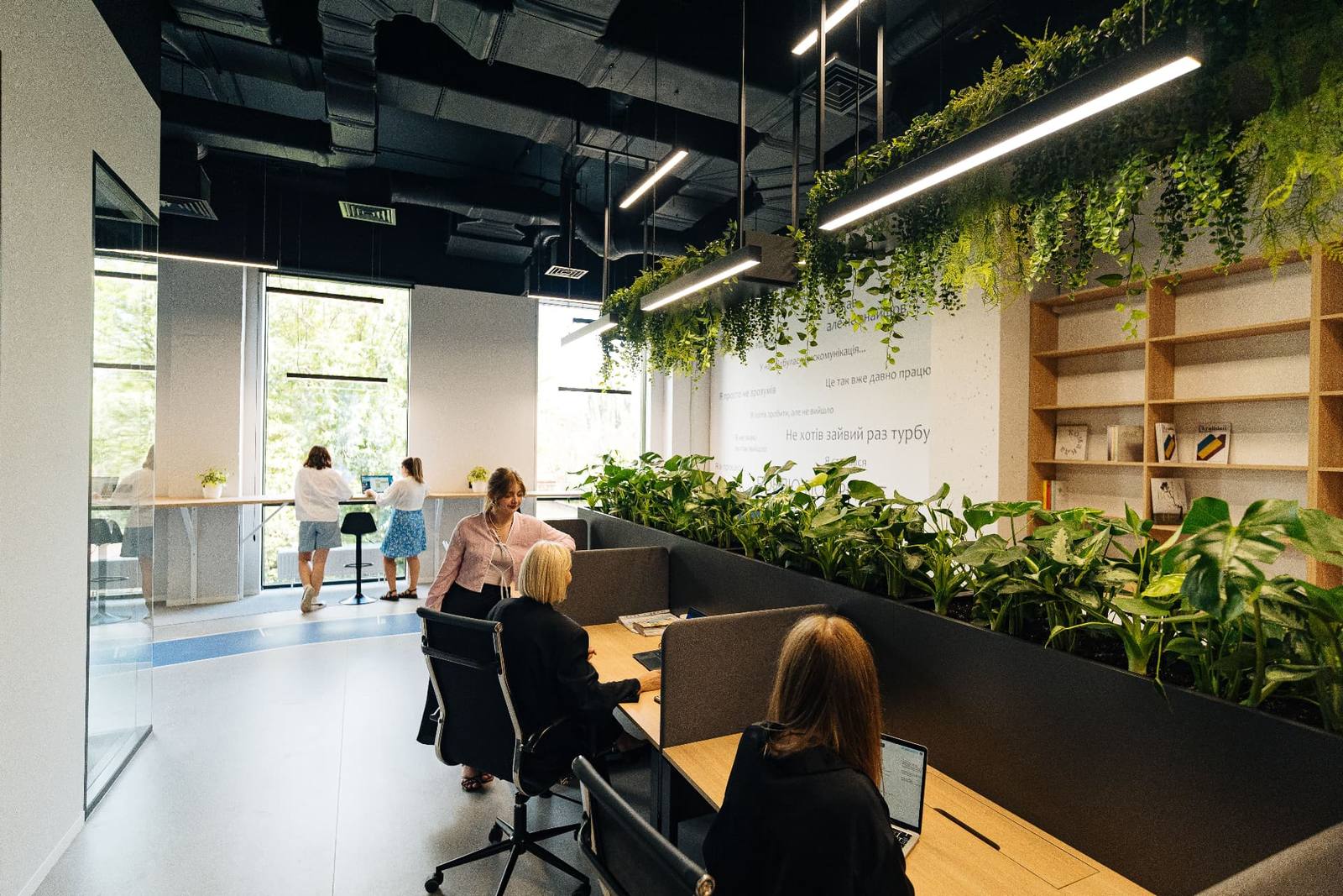 Open space with greenery and daylight